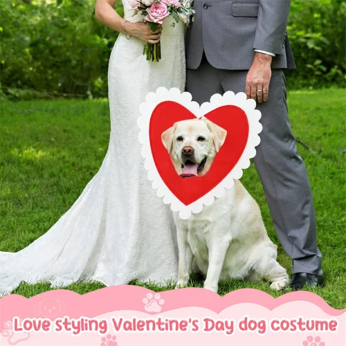 Valentine heart cutout pet collar