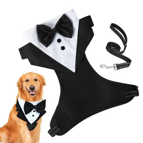 Puppy Formal Tuxedo Bow Outfit