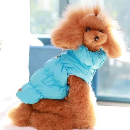 Soft Warm Padded Pet Coat