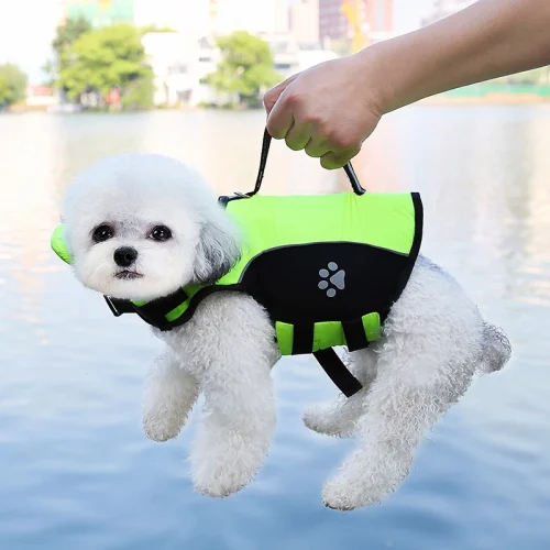 Pet Swimsuit Can Be Carried By Hand